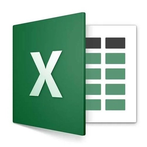 Excel (Basic)